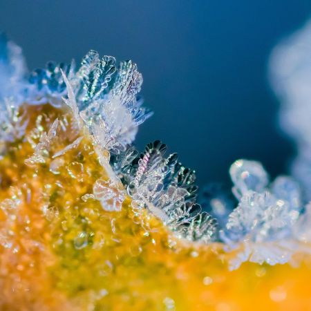 Ferie w Coco z obiadokolacjami